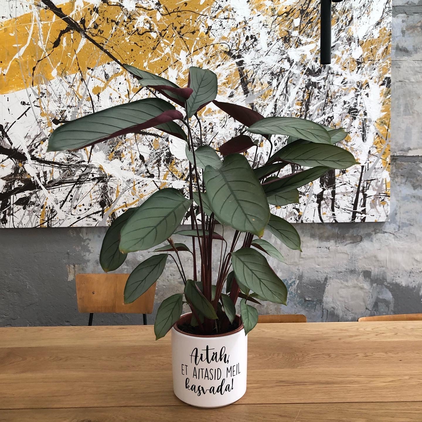 Flower pot "Thank you for helping me grow" Ø12cm H10cm